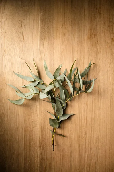 Beautiful Sprigs Eucalyptus Silver Gray Leaves Wooden Background — Fotografia de Stock