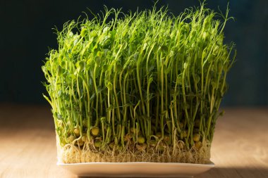 Filizlenmiş bezelye filizleri, beyaz dikdörtgen bir tabakta, ahşap bir masada mikroyeşiller.