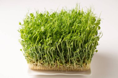 Filizlenmiş bezelye filizleri, beyaz arka planda beyaz dikdörtgen bir tabakta mikro yeşiller.