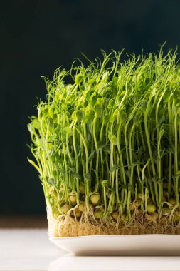 Filizlenmiş bezelye filizi, beyaz bir masada beyaz dikdörtgen bir tabakta mikro yeşiller.