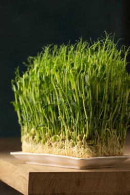 Filizlenmiş bezelye filizleri, beyaz dikdörtgen bir tabakta, ahşap bir masada mikroyeşiller.