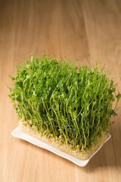 Sprouted Pea Sprouts Microgreens Białym Prostokątnym Talerzu Drewnianym Stole — Zdjęcie stockowe