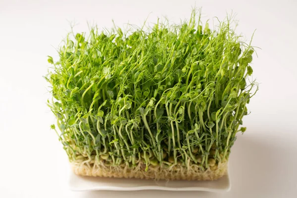 Sprouted Pea Sprouts Microgreens Białym Prostokątnym Talerzu Białym Tle — Zdjęcie stockowe