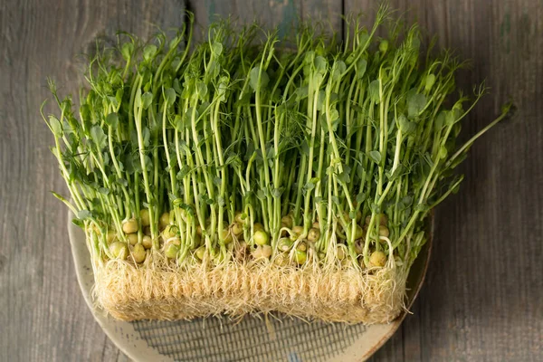 発芽したエンドウ豆の芽 木製の背景のプレート内のマイクログリーン — ストック写真