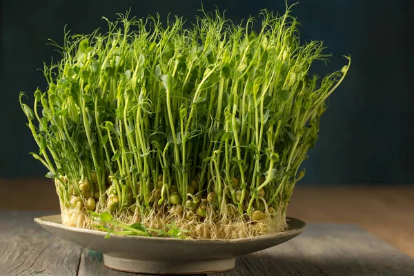 Sprouted Pea Sprouts Microgreens Talerzu Drewnianym Tle — Zdjęcie stockowe