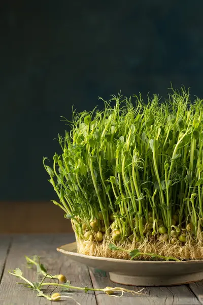 发芽的豌豆芽 木制底板上的微绿色 — 图库照片