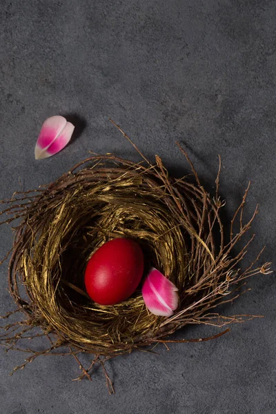 Большое Красное Яйцо Маленьком Гнездышке Сером Фоне — стоковое фото