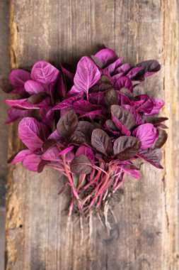 Kırsal bir arka planda bir demet taze mor amaranth.