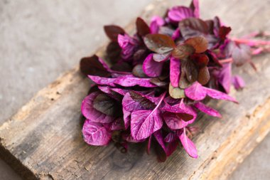 Kırsal bir arka planda bir demet taze mor amaranth.