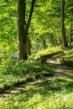 Baharda bahar parkında yürüyüş yolu