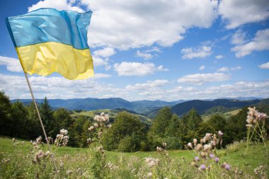 Zaferin sembolü olan Ukrayna bayrağı güneşli bir günde Ukrayna Karpatlar üzerinde dalgalanıyor.