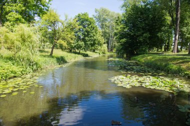Güneşli bir yaz gününde parkta su manzarası