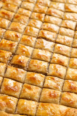 Ev yapımı fındıklı ve ballı baklava, yakın plan.