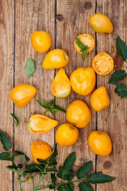 Uzun burunlu taze kırmızı domatesler.