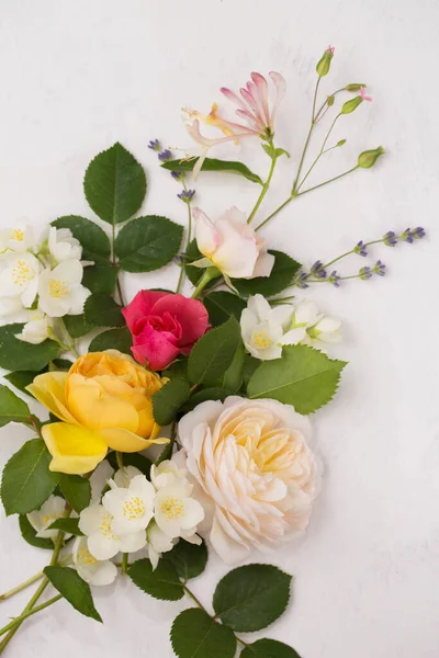 淡淡的背景上有薰衣草的英式玫瑰的优美构图 — 图库照片