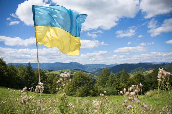 勝利の象徴であるウクライナの旗は 晴れた日にウクライナのカルパティア山脈を飛んでいます — ストック写真