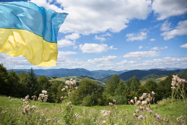 Ukrainas Flagga Symbol För Seger Flyger Över Ukrainska Karpaterna Solig — Stockfoto