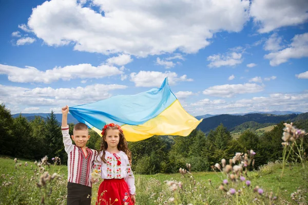 Маленька Українська Дівчинка Хлопчик Тримає Синій Жовтий Український Прапор Символ — стокове фото