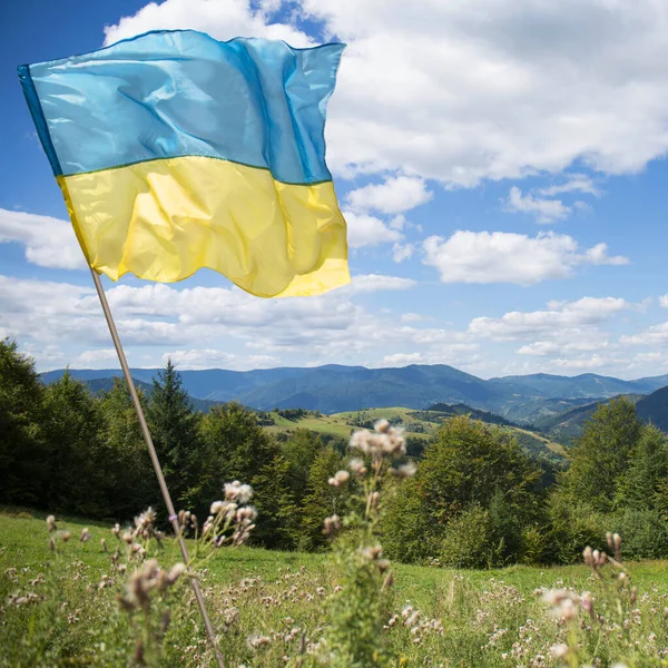 The Ukrainian flag, a symbol of victory, is flying over the Ukrainian Carpathian Mountains on a sunny day