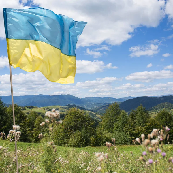 The Ukrainian flag, a symbol of victory, is flying over the Ukrainian Carpathian Mountains on a sunny day