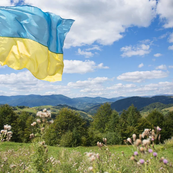 Ukrainian Flag Symbol Victory Flying Ukrainian Carpathian Mountains Sunny Day — Stock Photo, Image