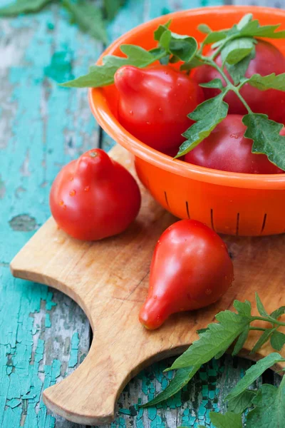 Fresh Red Tomatoes Elongated Nose Board — Stock Photo, Image