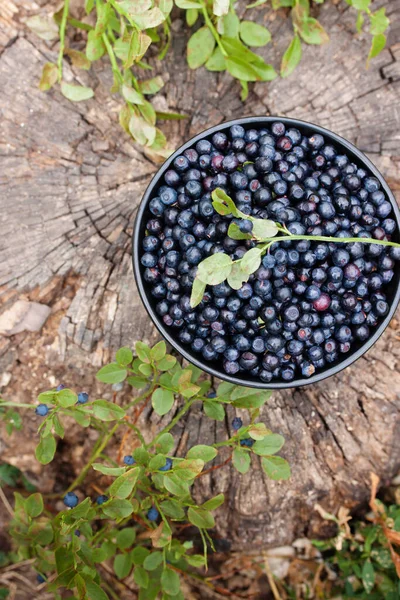 Fresh Blueberry Black Bowl Wooden Background — Stock Photo, Image