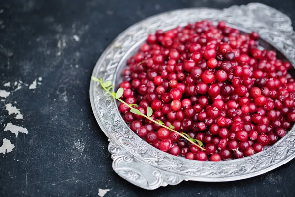 Ωρίμασε Ζουμερά Cranberries Ένα Μεταλλικό Δίσκο Πάνω Ένα Κρεβάτι Cranberries — Φωτογραφία Αρχείου