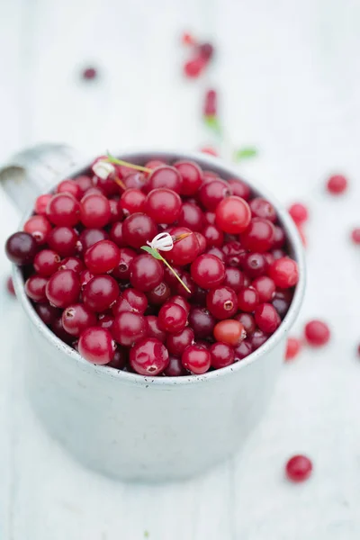 Ripe Juicy Cranberry Vintage Metal Cup Light Background — Stock Photo, Image