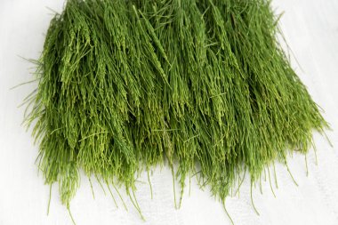 Beyaz arka planda tıbbi yabani at kuyruğu bitkisi.