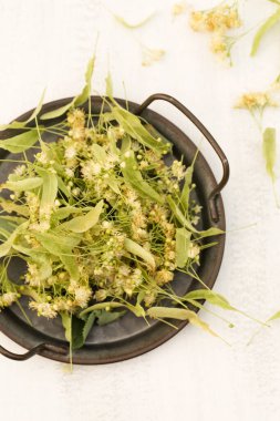 Kaliteli metal tepside çay için kireç çiçeği. Beyaz arkaplanda ıhlamur çiçeği