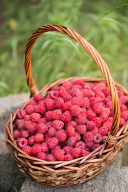 Masanın üzerinde olgun ahududu dolu bir sepet.