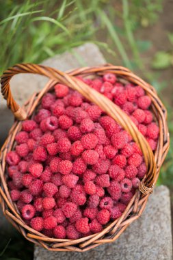 Masanın üzerinde olgun ahududu dolu bir sepet.