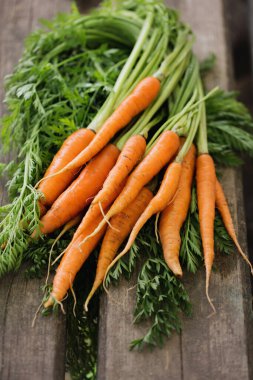 Yeşil başlıklı taze sulu çiftlik havucu.