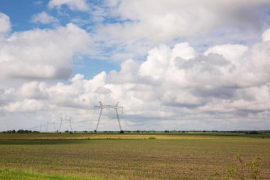 Güneşli bir günde, tarlada yüksek voltajlı elektrik hattı
