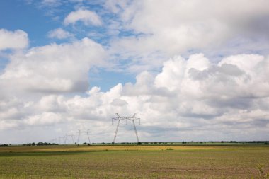 Güneşli bir günde, tarlada yüksek voltajlı elektrik hattı