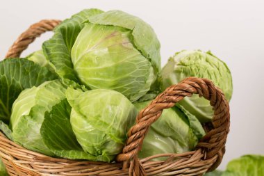 Fresh young cabbage in a large wicker basket on a white background clipart