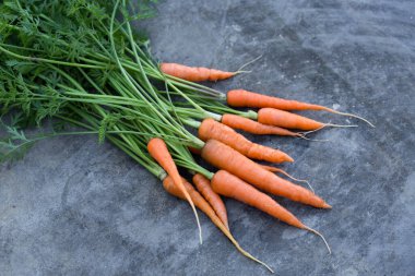 Metalik siyah zemin üzerinde taze organik havuçlar.