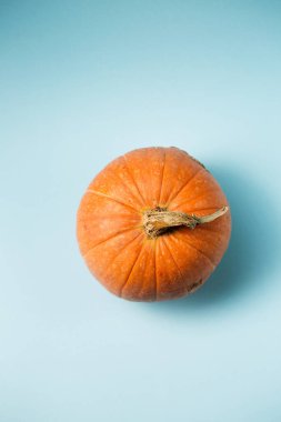 Açık mavi arkaplanda küçük bir turuncu balkabağı