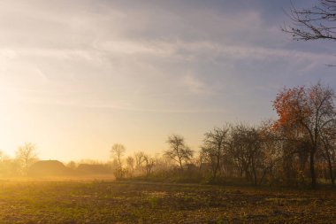 Kırsalda güzel sisli güneşli bir sonbahar sabahı. Soğuk sisli sabah gündoğumu
