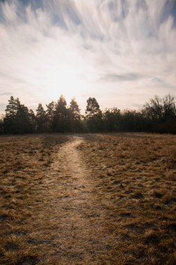 Ortasında patika olan bir çim tarlası. Çimlerde buz var. Gökyüzü bulutlu ve güneş bulutların arasında parlıyor.