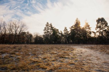 Ortasında patika olan bir çim tarlası. Çimlerde buz var. Gökyüzü bulutlu ve güneş bulutların arasında parlıyor.