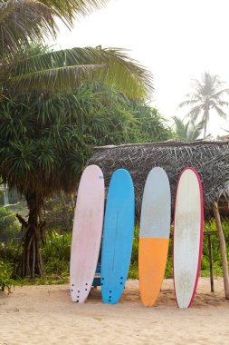 Sörf tahtaları, arka planda palmiye ağaçları olan, okyanusun yakınındaki kumlu bir sahilde sıralanır.