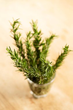 Masadaki bardakta biberiye filizleri, üst manzara.