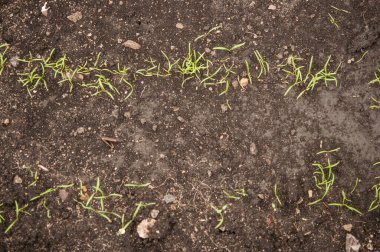  Yere ilk ateş eden... 