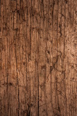 wood texture with natural pattern background. Vertical