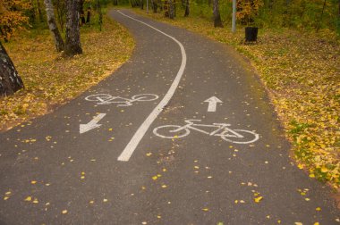 Sonbahar ormanında yol işaretli bisiklet yolu 