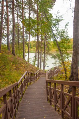 Sonbahar ormanında merdivenleri olan eski ahşap köprü. Ormanda merdiven var. Park 'taki yaya köprüsü. Macera ve keşif konsepti