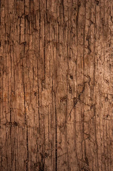 Wood Texture Natural Pattern Background Vertical — стоковое фото