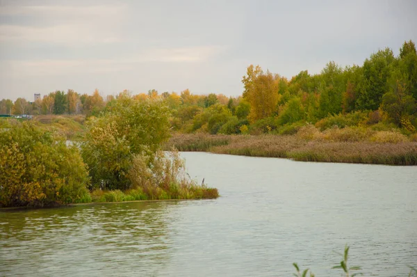 Осенний Пейзаж Озером — стоковое фото